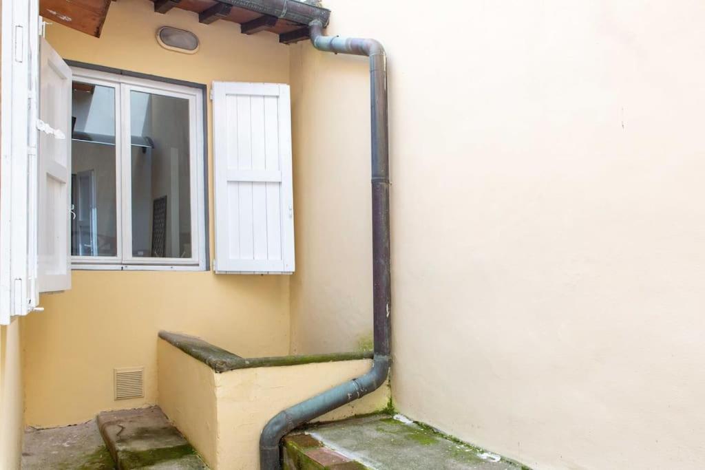 Romana 4 Bedrooms With Garden Apartment Florence