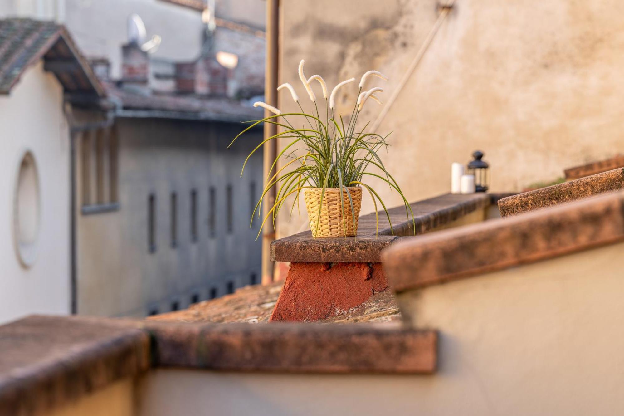 Hidden Nest Apartment