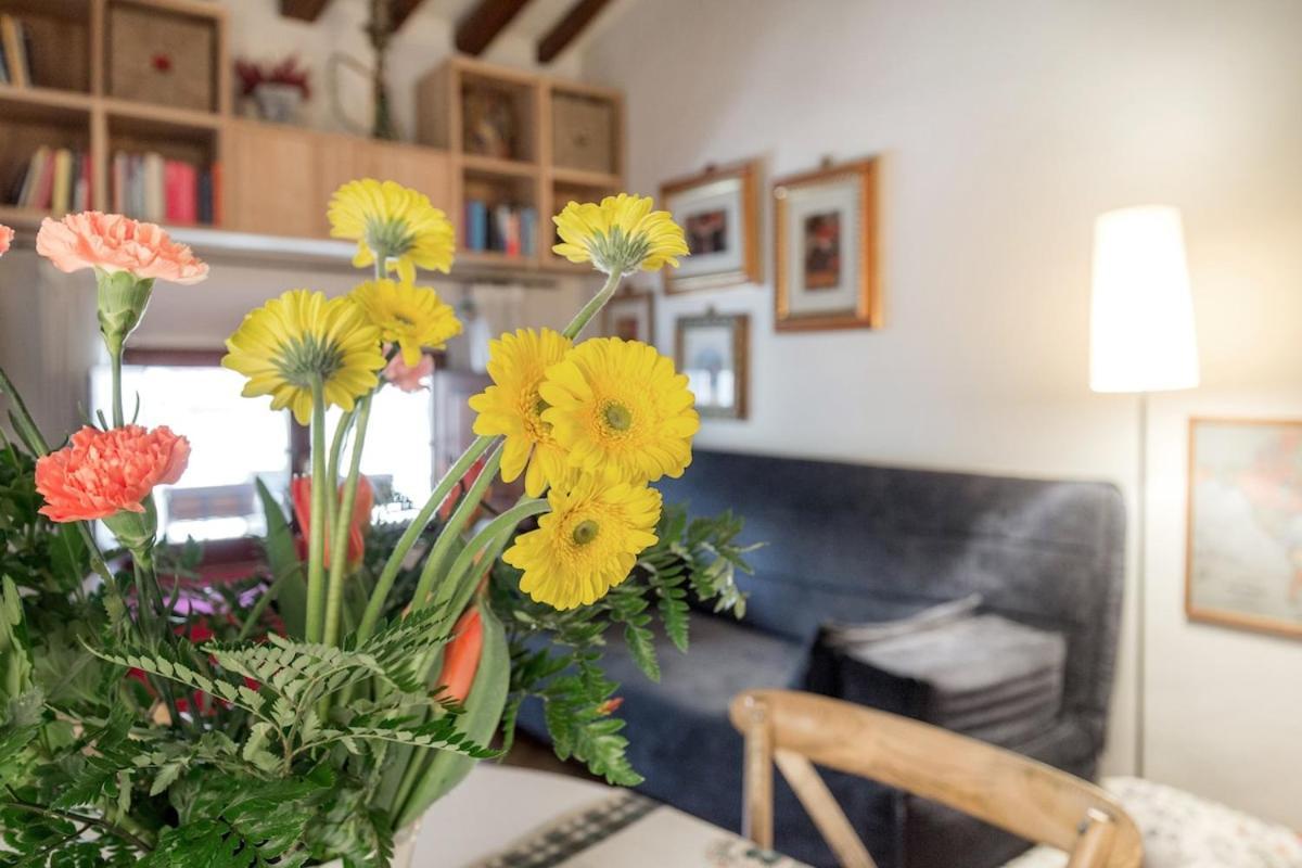 A Nest In The Heart Of Apartment Florence