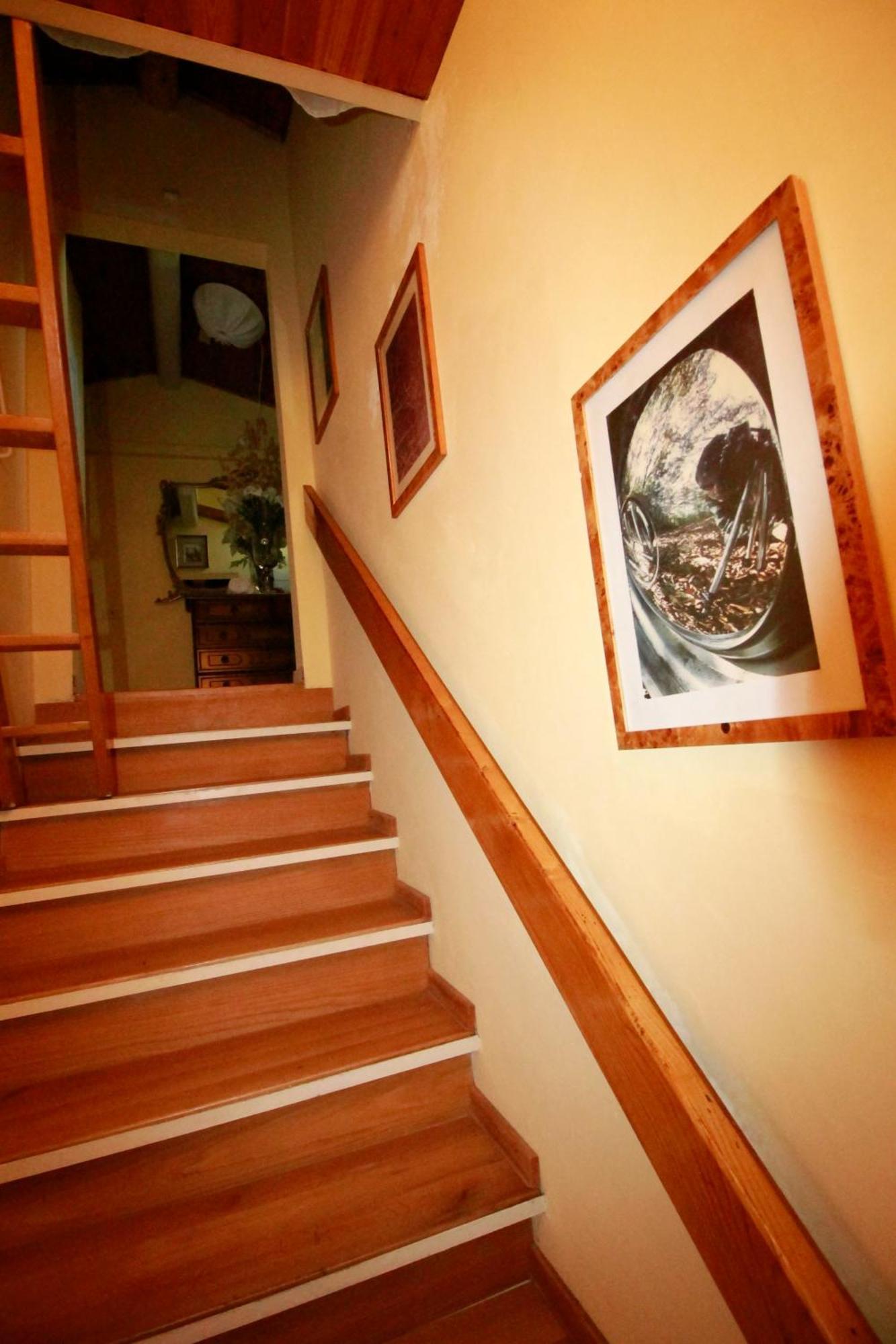 Guest house Margherita Florence