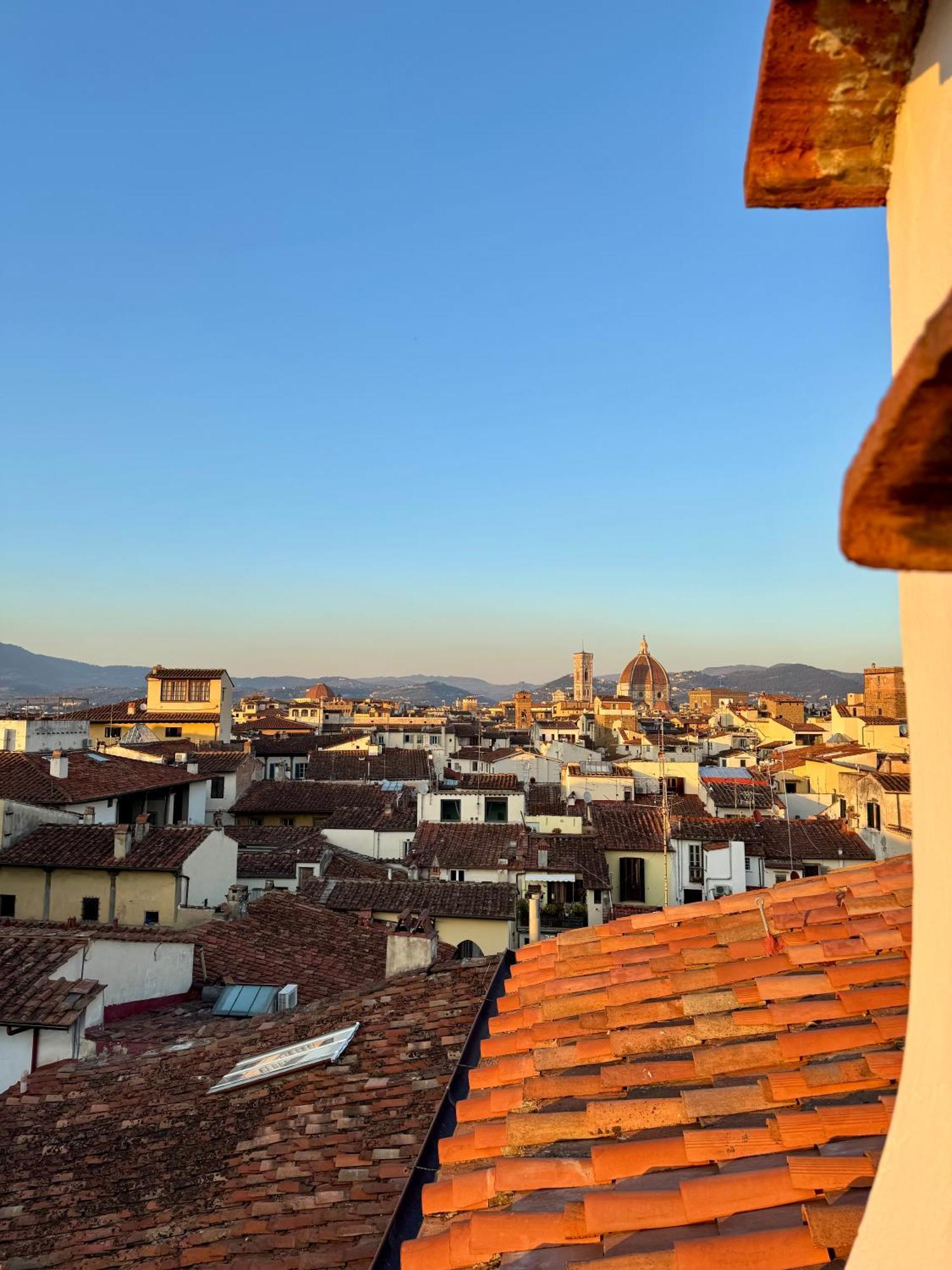 Apartment Oltrarno Terrace Florence