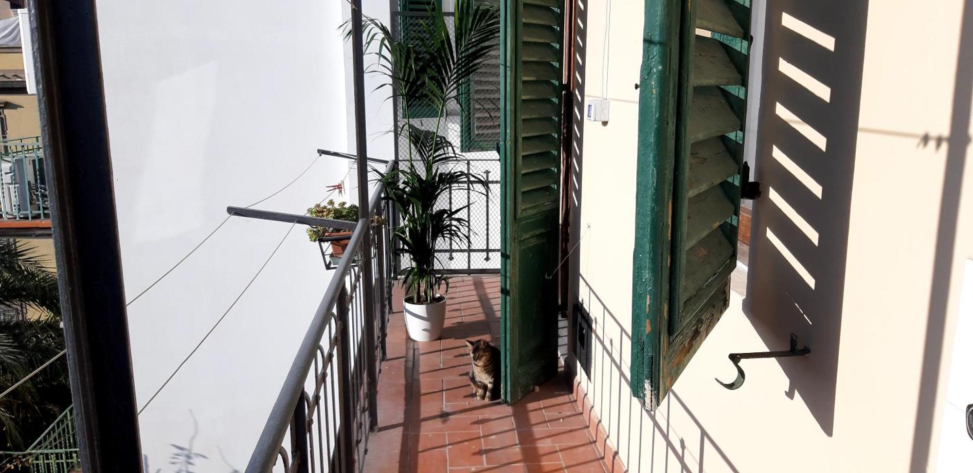 Florence Homestay Florence