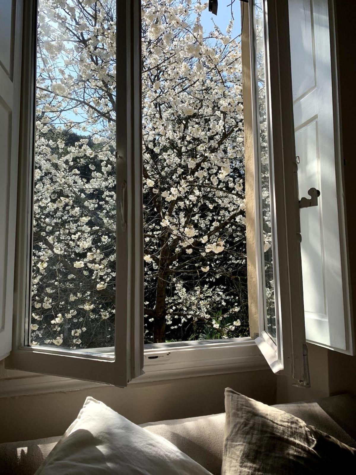 Surrounded By Greenery In The Heart Of Apartment Florence