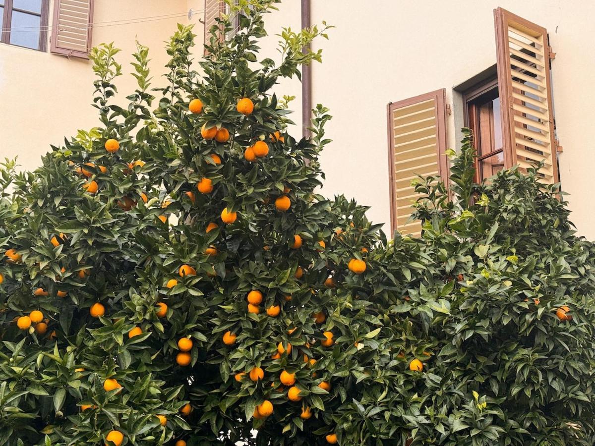 Apartment Villino Gemma, Elegant Living With A Tuscan Touch Florence