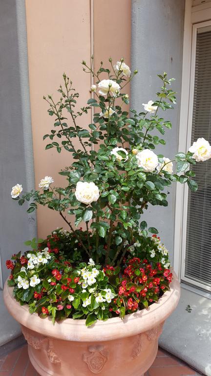 Aparthotel Palazzo Virginio Florence
