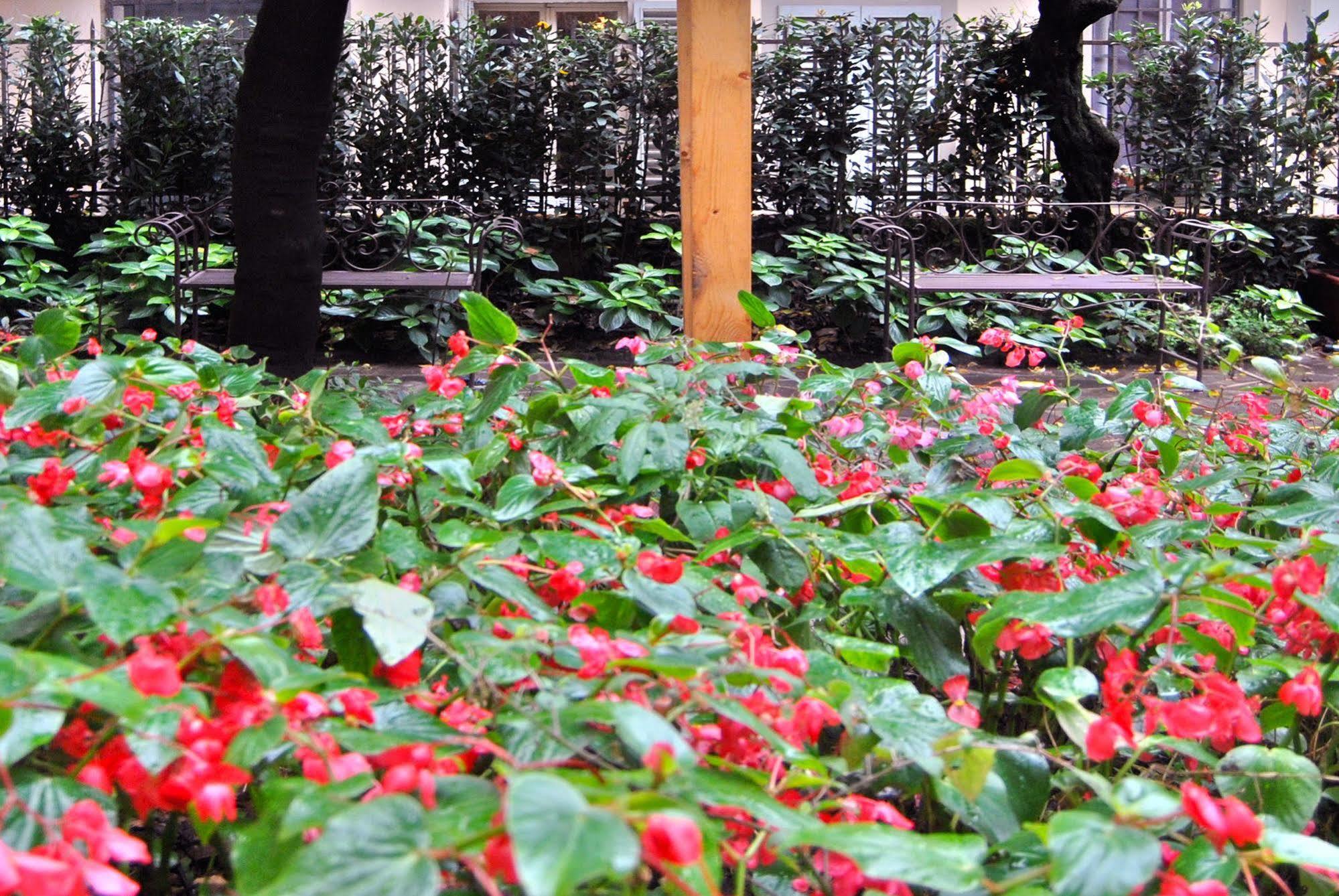 Ginori Garden Deluxe Collection Guest house