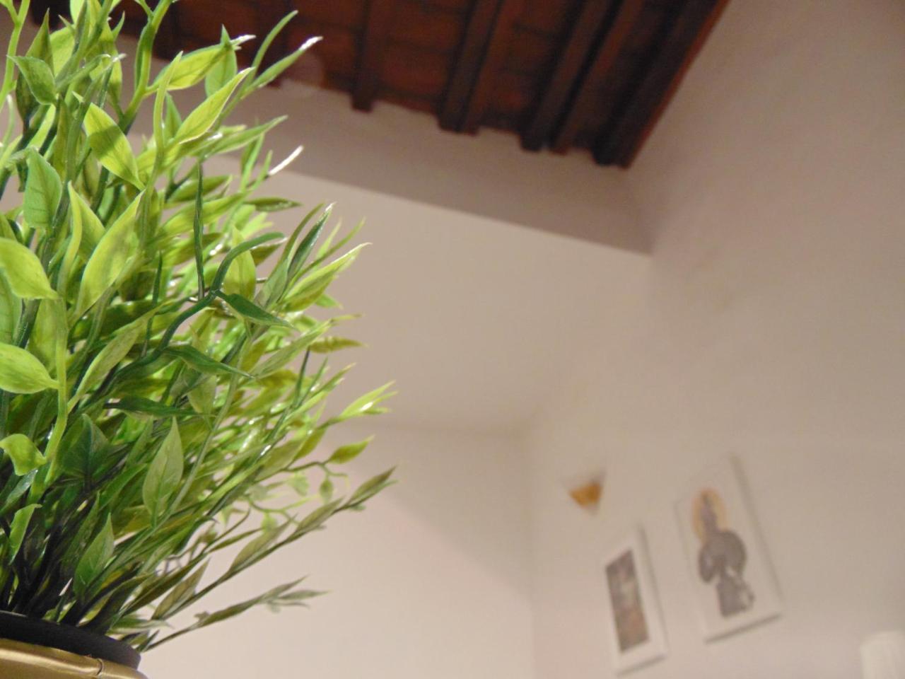 Guest house Dante's *