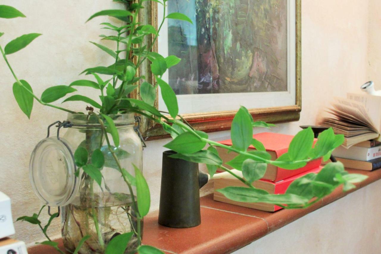 Appartement Garden Terrace Oltrarno Florence