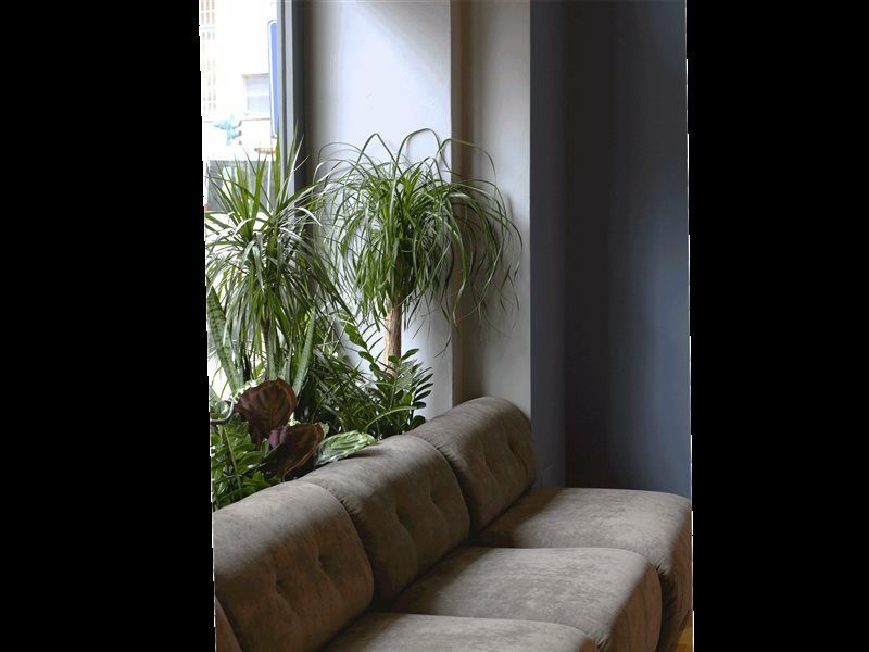 C-hotels Joy Hotel