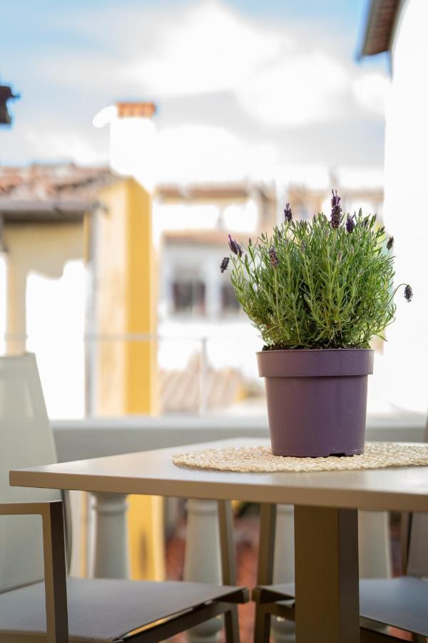 Olive Loft Apartment Florence