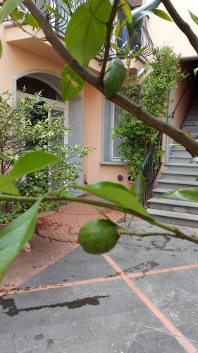 Palazzo Virginio 3*